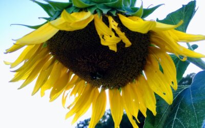 Can we talk about Thursdays?